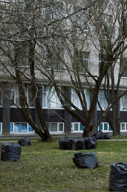 A row of multiple black plastic rubbish bags, filled and tied, positioned on a grassy area in front of a modern residential building with large windows and a brick facade. The bags are scattered across the lawn, with some leaning against the base of several leafless trees that extend upward and outward, partially obscuring the building behind. The trees have dark, textured bark and thin, leafless branches that spread across the scene. The overall environment appears to be an urban or suburban outdoor space, possibly awaiting collection by a waste removal service. The lighting suggests an overcast or dull day, with neutral tones and no visible human activity present, consistent with a site prepared for rubbish disposal or an alternative waste handling scenario managed by a waste removal company like Waste Removal Mayfair.